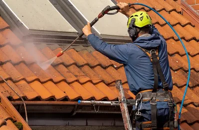 Démoussage et hydrofuge de toiture à Laigny
